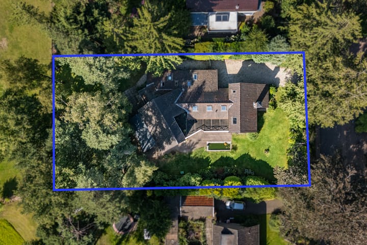 Foto 5 van Nuisvelderbos 5