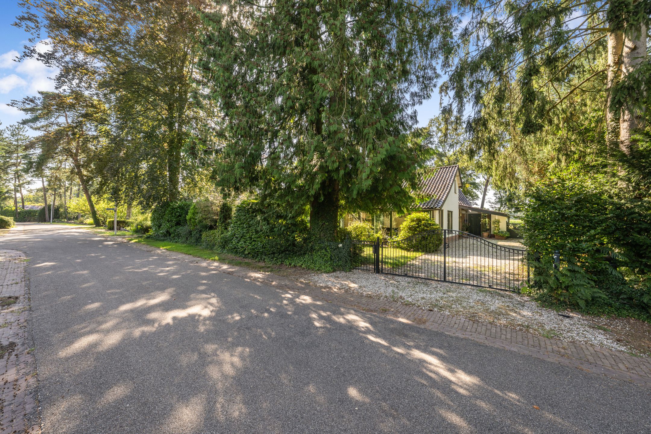 Foto 6 van Nuisvelderbos 5