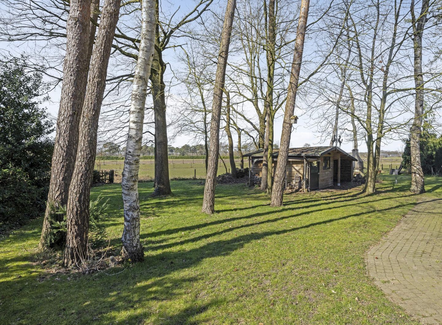 Foto 40 van Nuisvelderbos 5