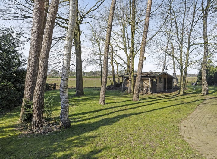 Foto 40 van Nuisvelderbos 5