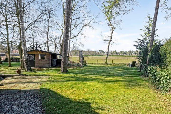 Foto 41 van Nuisvelderbos 5