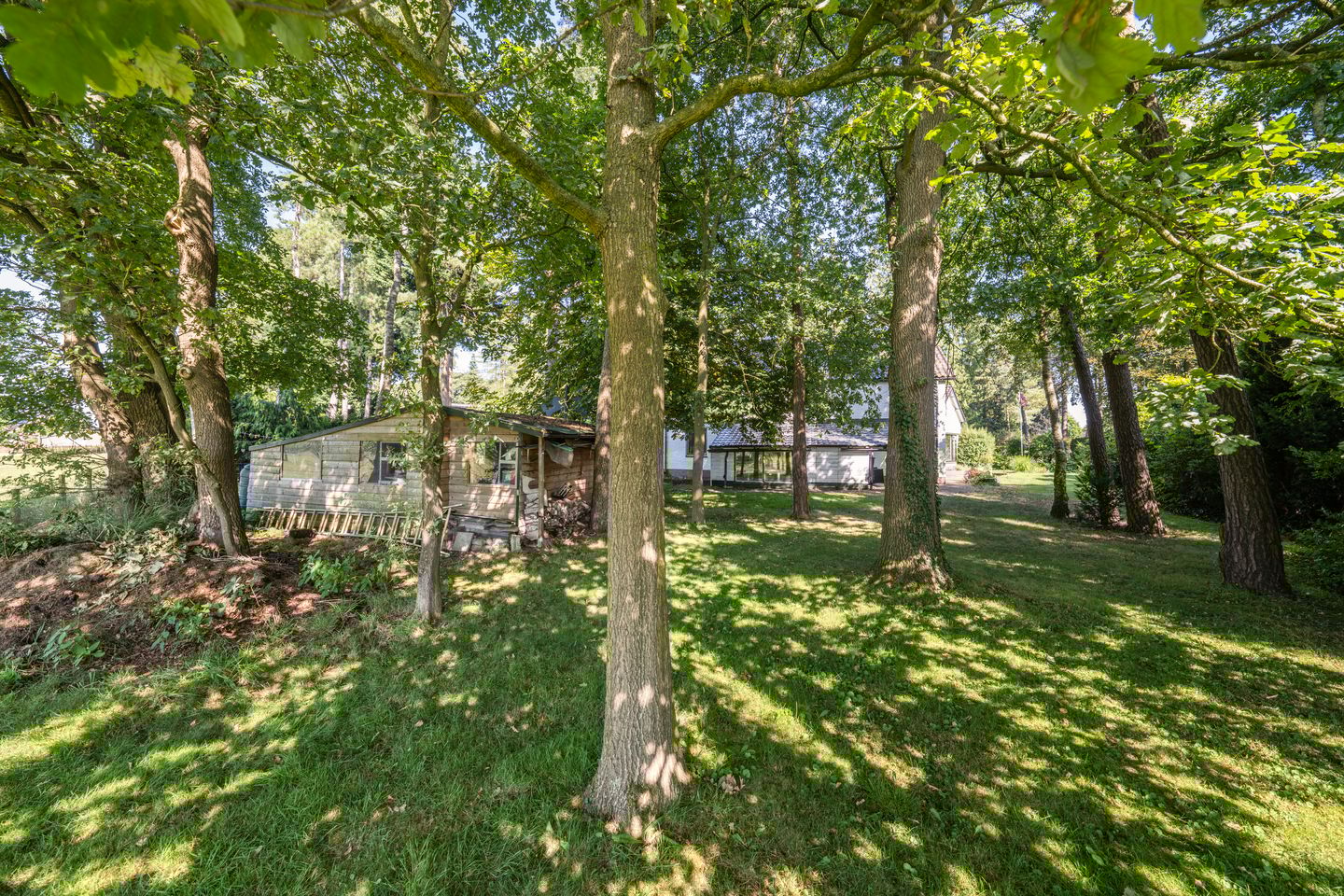 Foto 44 van Nuisvelderbos 5