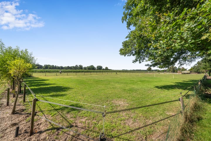 Foto 45 van Nuisvelderbos 5