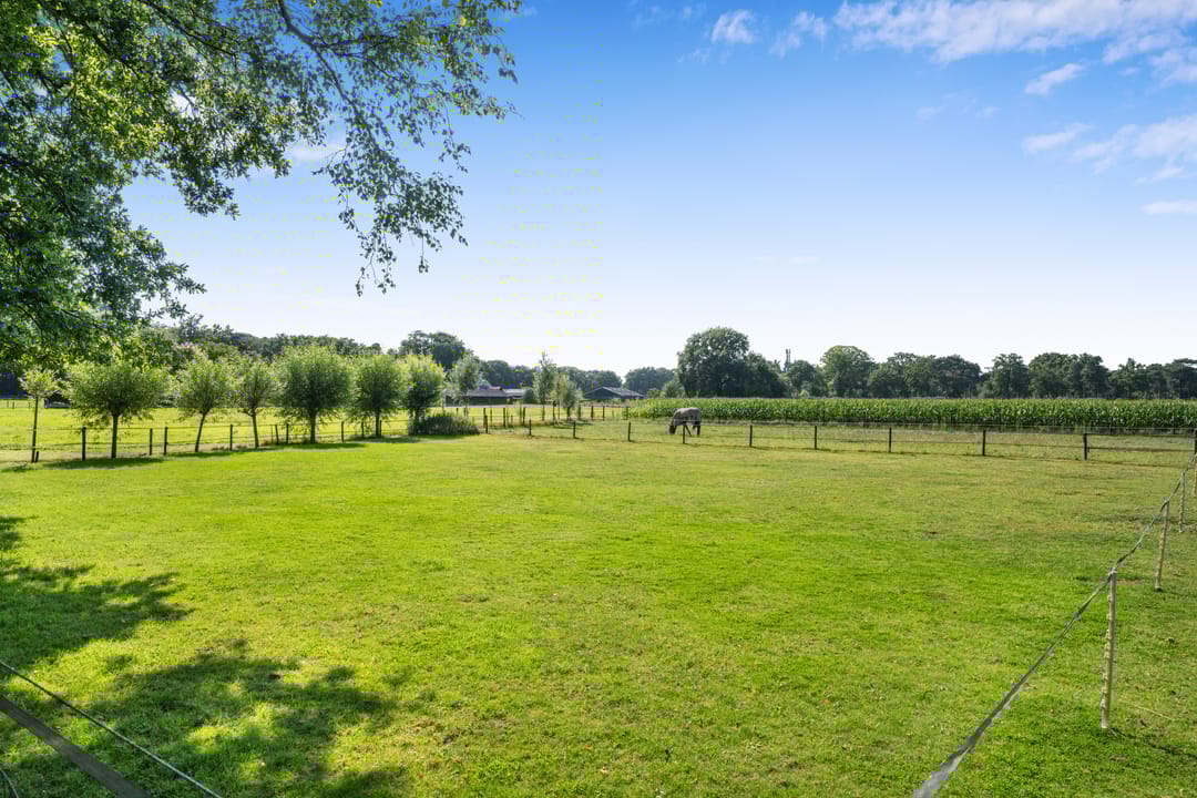 Foto 46 van Nuisvelderbos 5