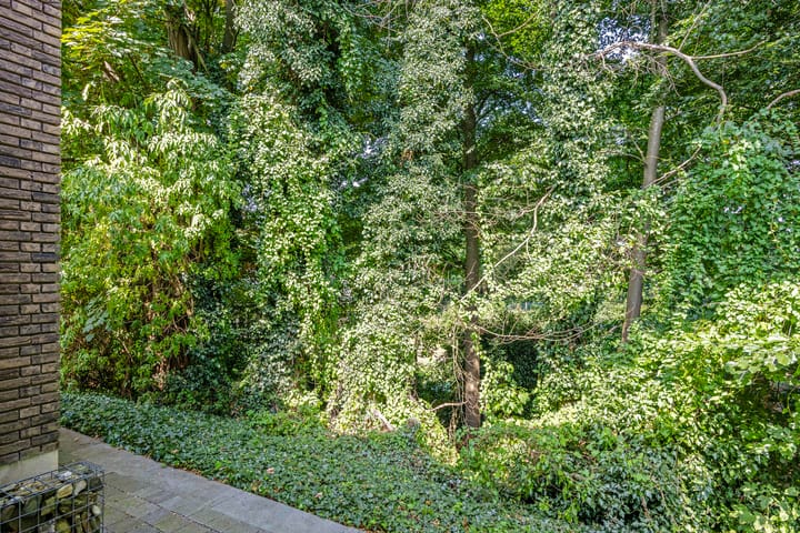 Foto 44 van Kopseweg 9-C