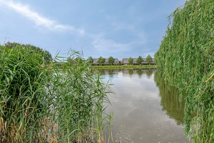 Foto 29 van Oostmeerlaan 105