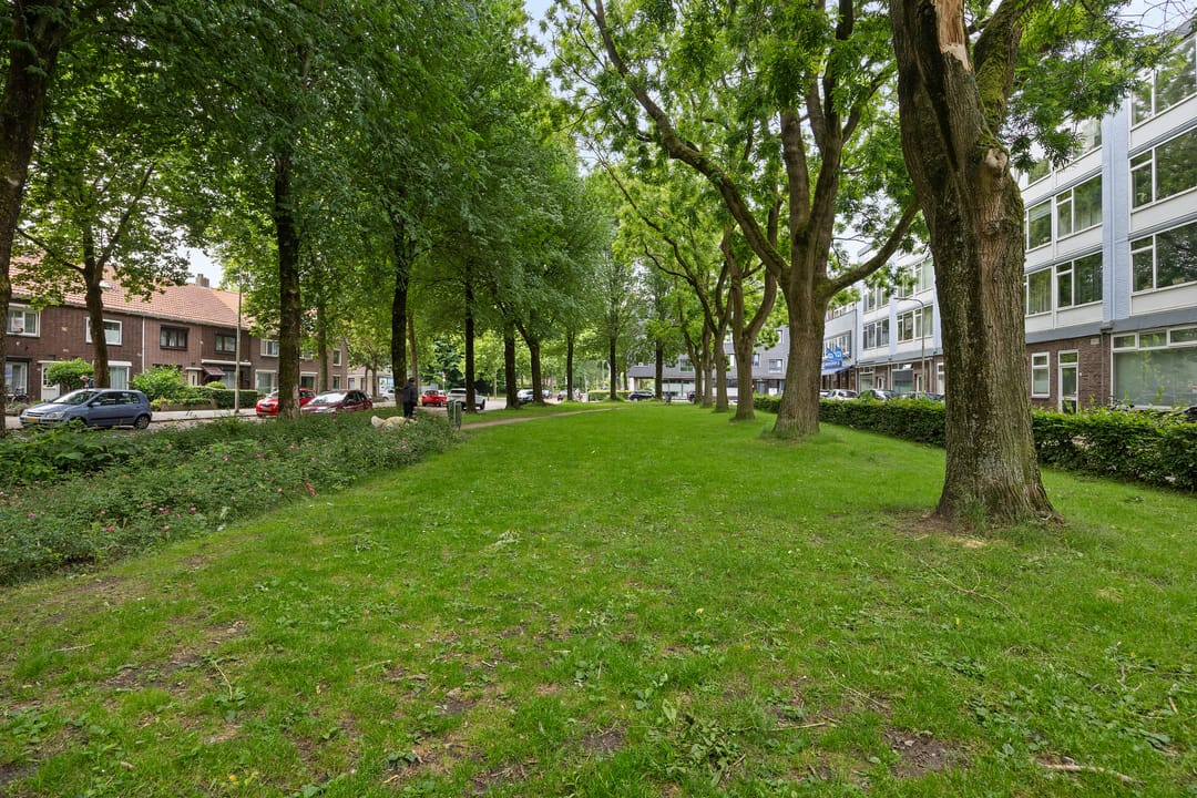 Photo 23 of Trouwlaan 257