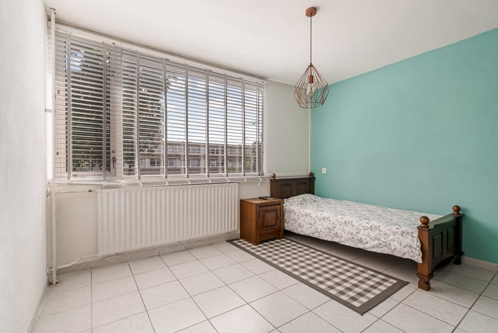 Foto 16 van Zirkoon 18