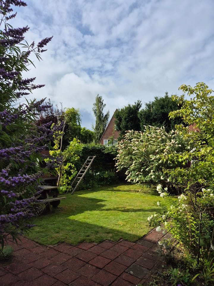 Foto 43 van Robert Kochstraat 1