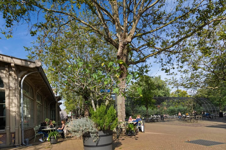 Foto 22 van Plantage Muidergracht 25-2