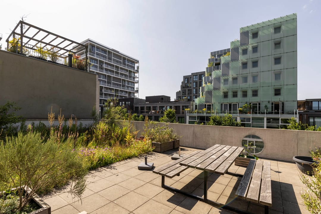 Foto 16 van Christoffelkruidstraat 42