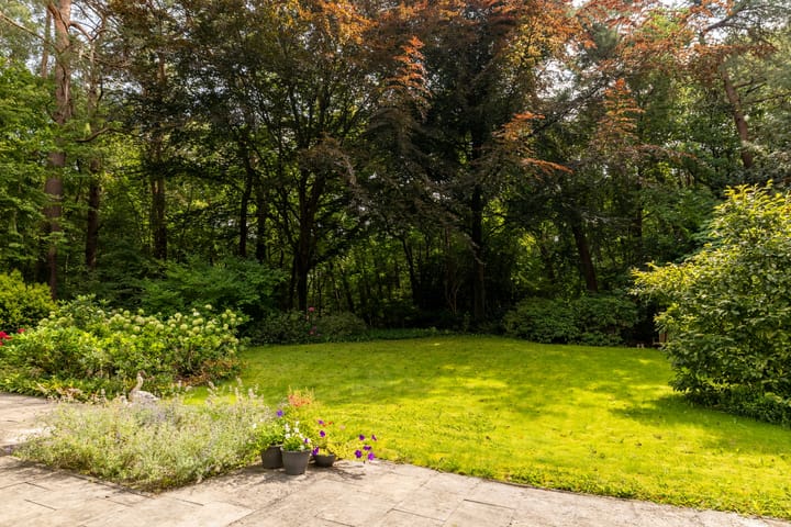 Photo 7 of Brandsweg 44