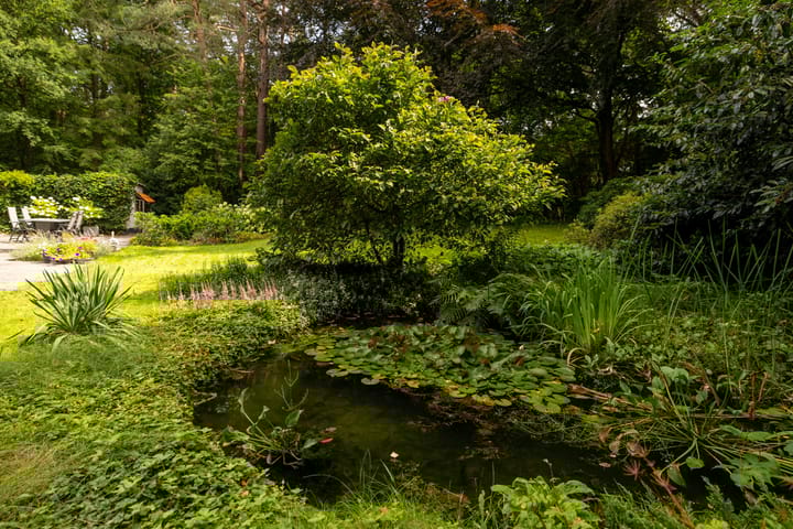 Photo 9 of Brandsweg 44