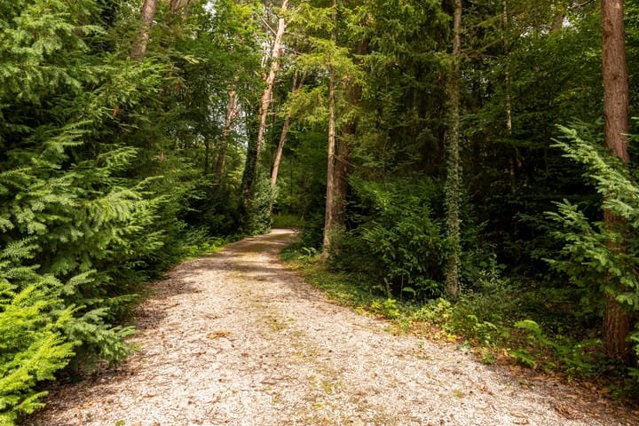 Photo 40 of Brandsweg 44