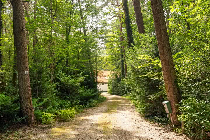 Photo 4 of Brandsweg 44