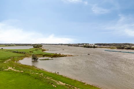 Waalzicht 1 tertiary image