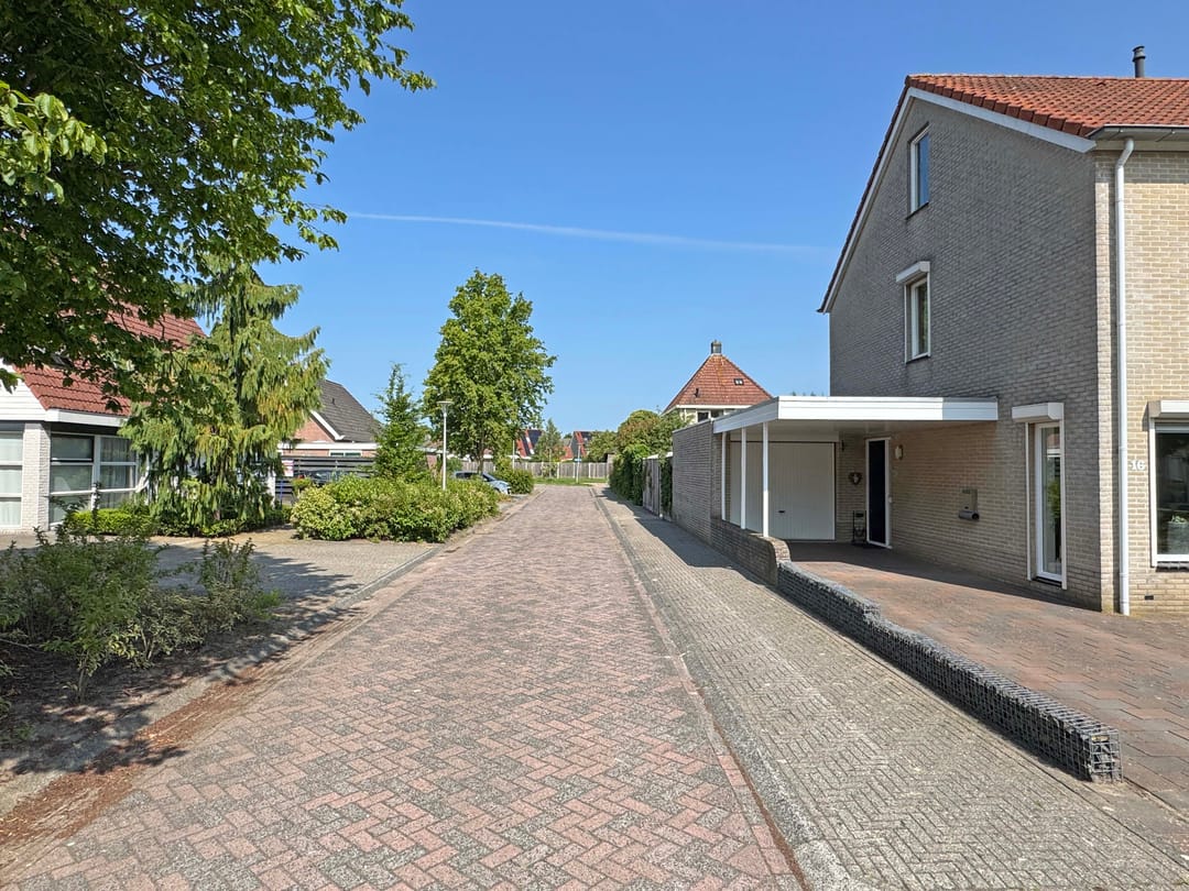 Foto 8 van Jasmijn 16