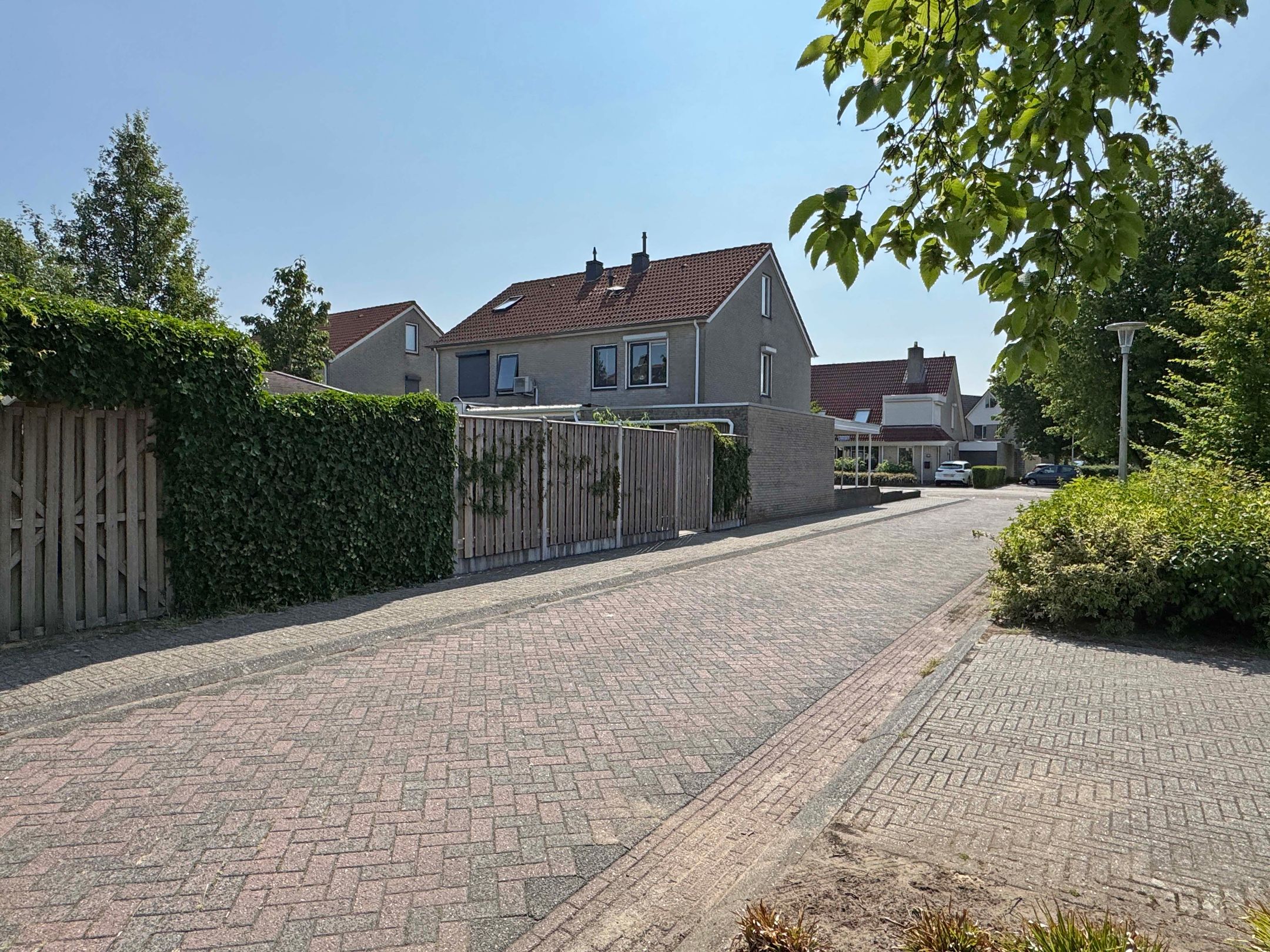 Foto 9 van Jasmijn 16