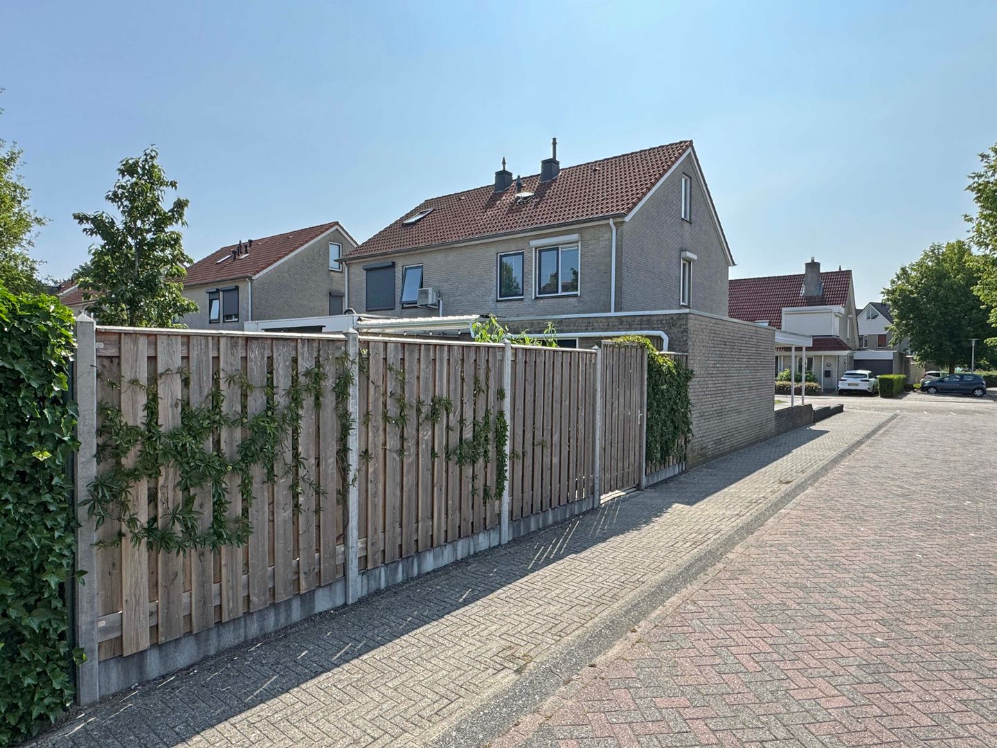 Foto 10 van Jasmijn 16