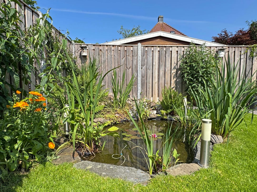 Foto 17 van Jasmijn 16