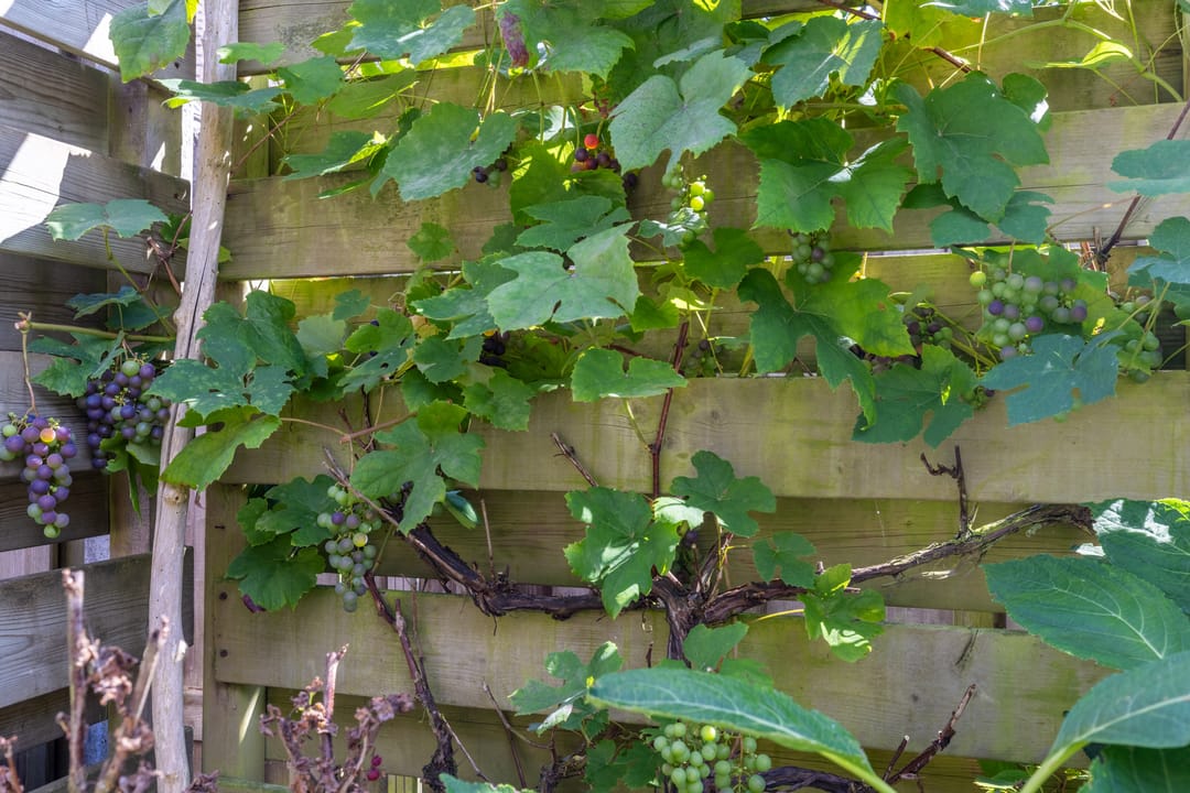 Foto 32 van Ten Busschekamp 17