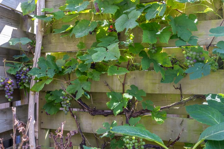 Foto 32 van Ten Busschekamp 17