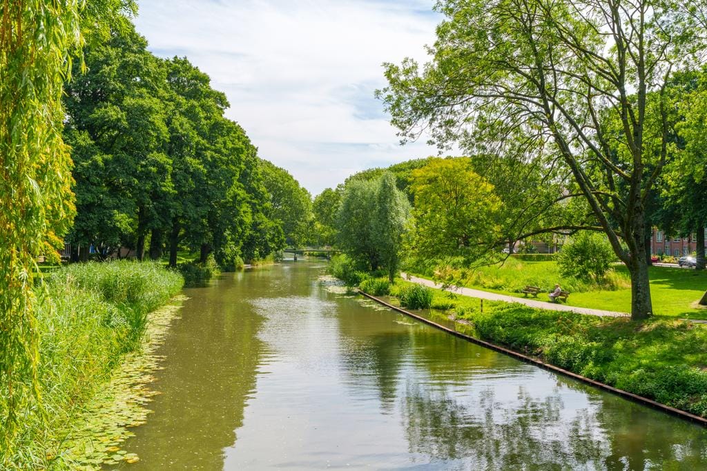 Foto 25 van Adriaen van Ostadelaan 157-4