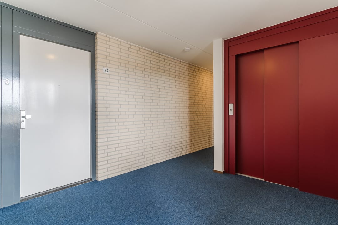 Foto 8 van Vogelhei 77