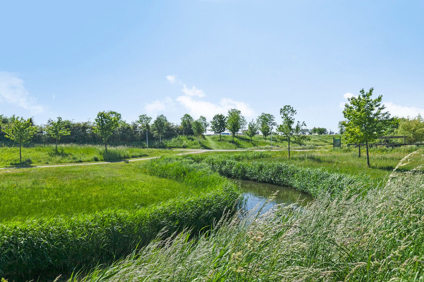 Foto 35 van Koegelwieckplantsoen 44