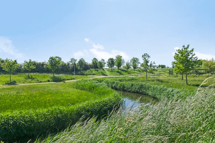 Foto 35 van Koegelwieckplantsoen 44