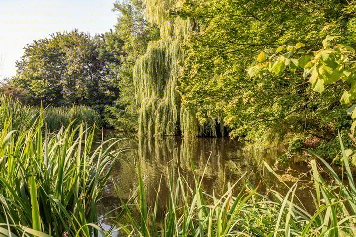 Foto 10 van Thematerweg 1