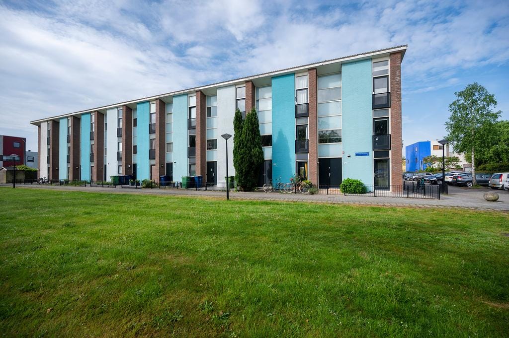 Foto 1 van Mintplantsoen 42