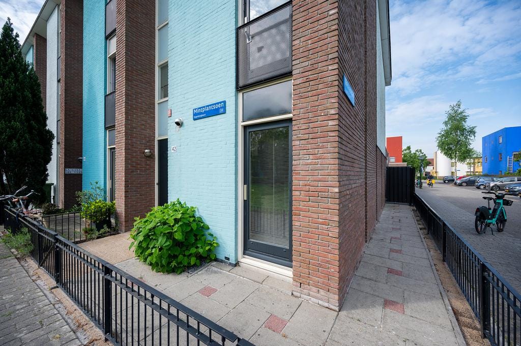 Foto 3 van Mintplantsoen 42