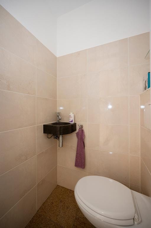 Foto 5 van Mintplantsoen 42