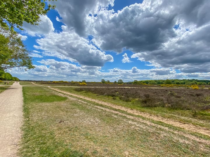 Foto 2 van Banckertlaan 229