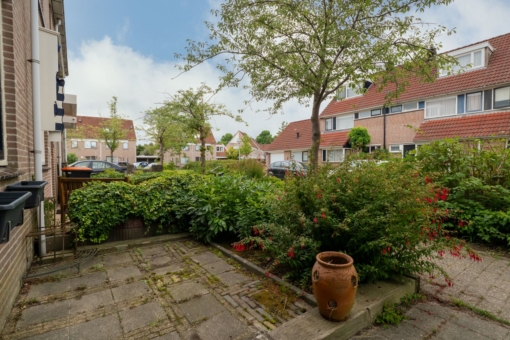 Foto 42 van Cypres 3