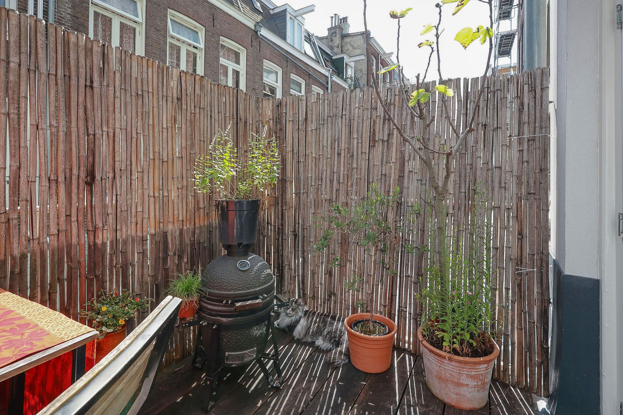 Photo 21 of Albert Cuypstraat 100-1