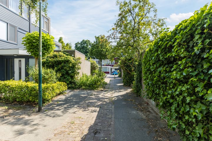 Foto 45 van Porfier 6