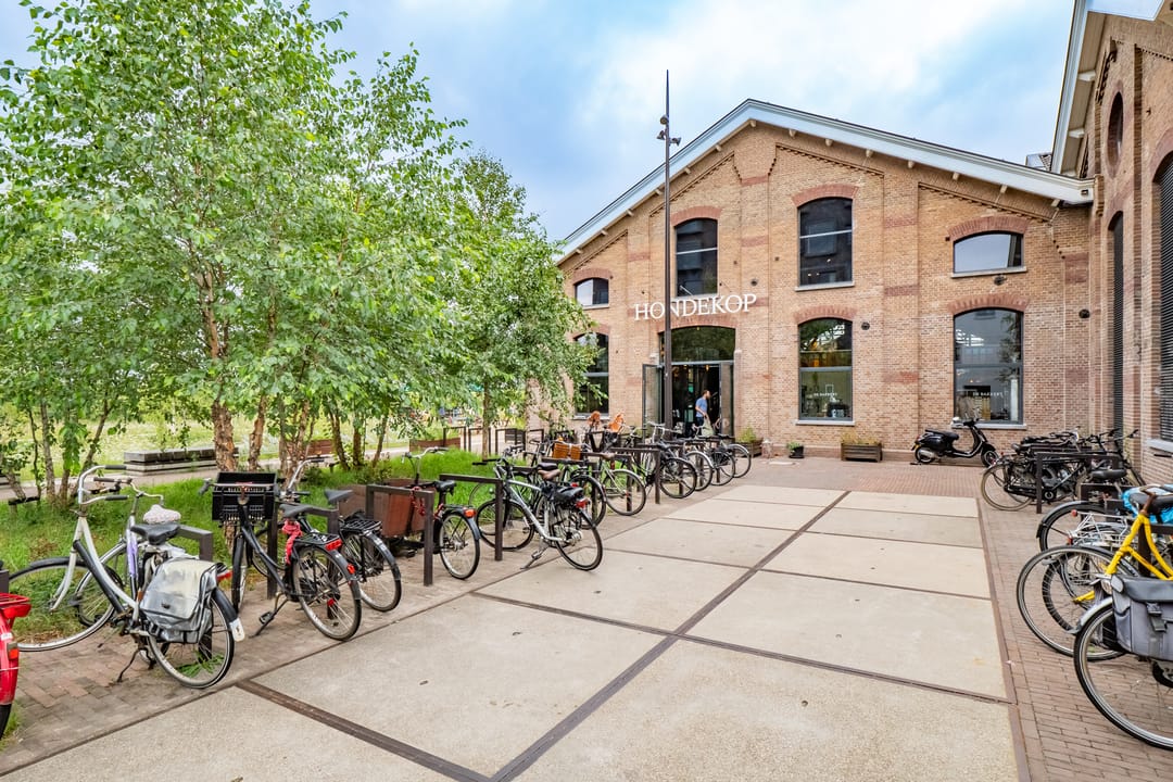 Foto 28 van Dirkje Mariastraat 11