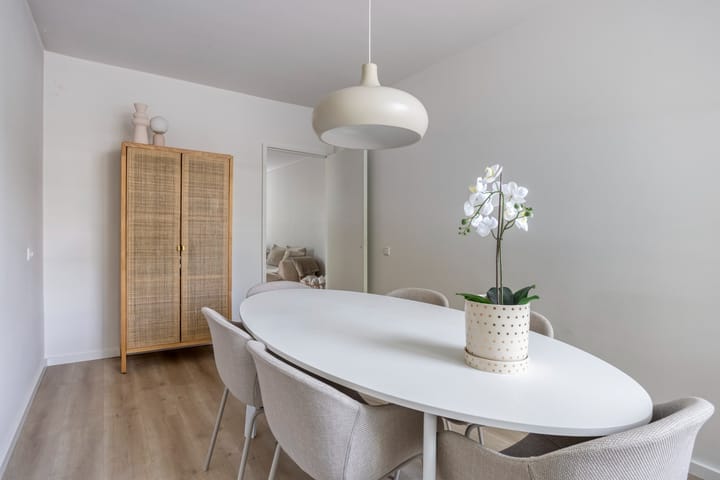 Foto 9 van Philip Vingboonsstraat 204