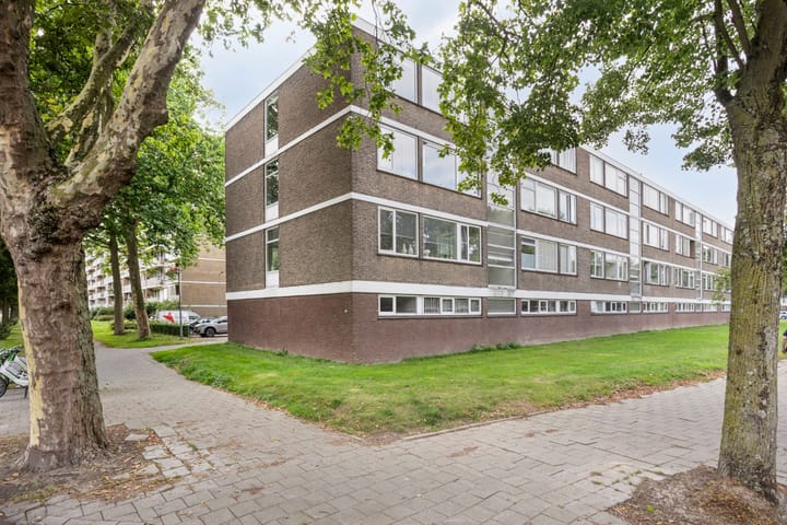 Foto 24 van Philip Vingboonsstraat 204