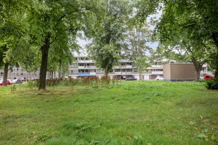 Foto 27 van Philip Vingboonsstraat 204