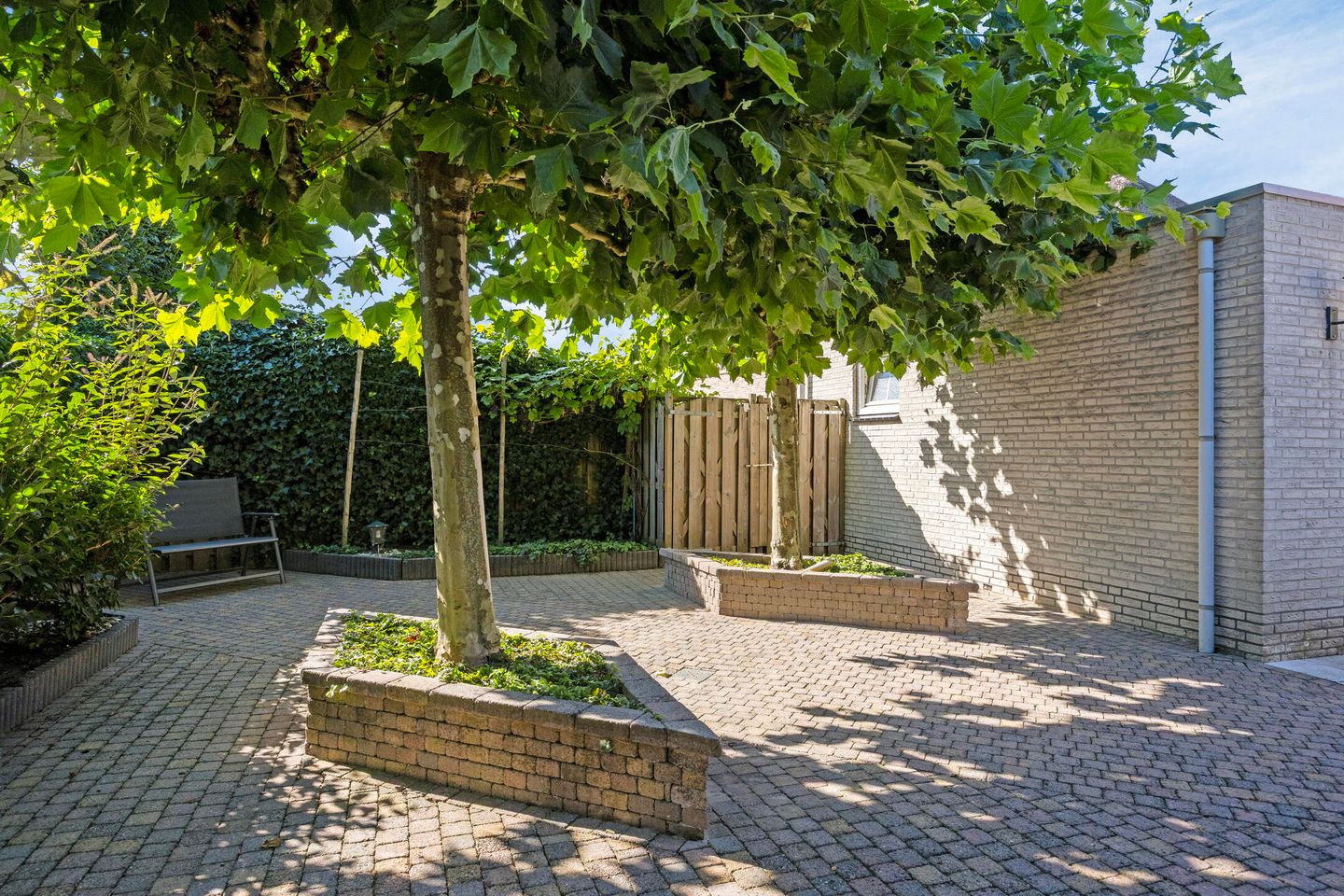 Photo 35 of Everlo 3