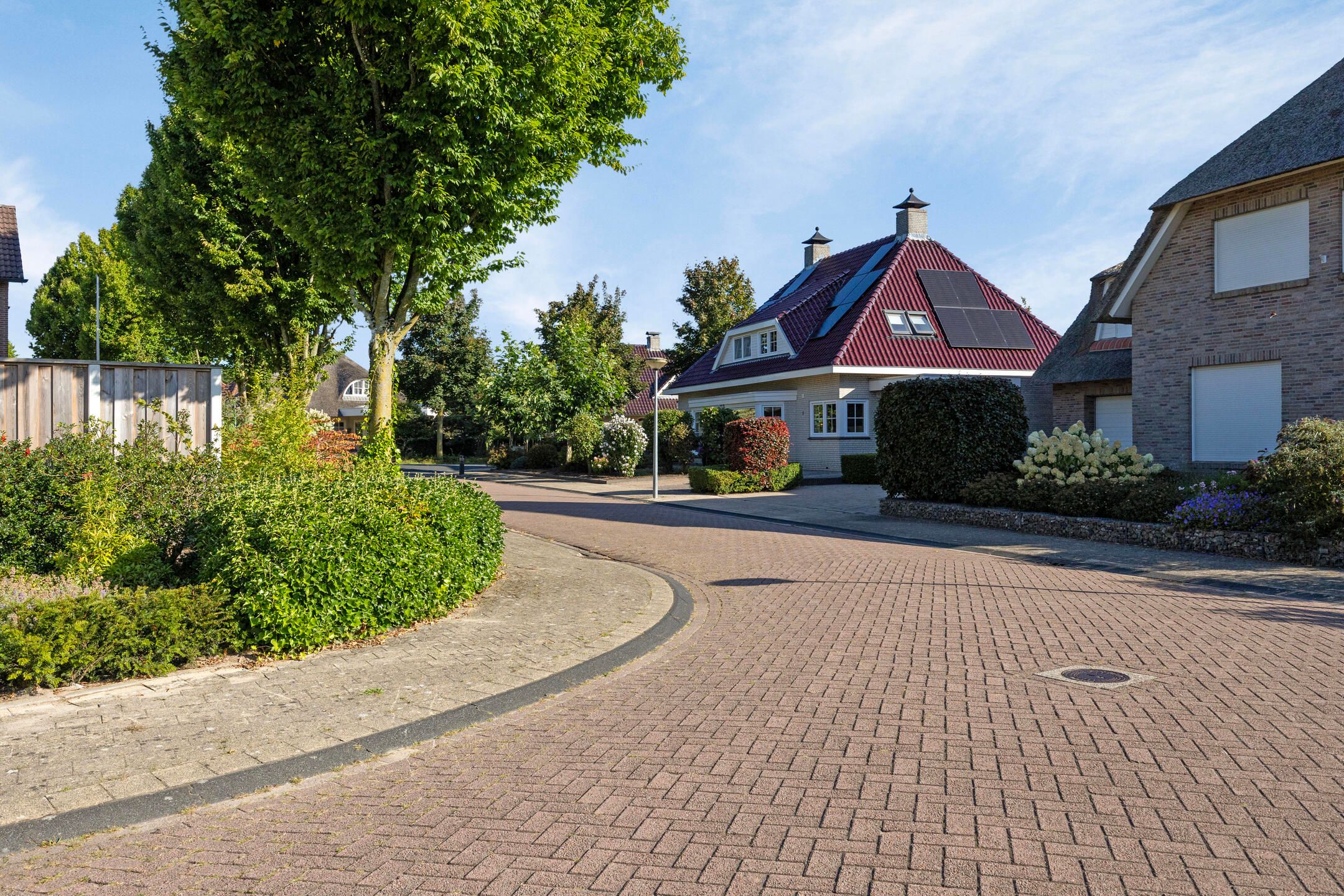 Photo 39 of Everlo 3