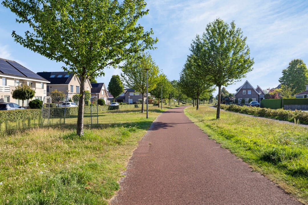 Photo 41 of Everlo 3