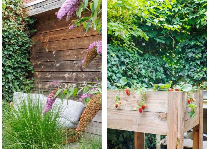 Foto 22 van Lammenschansweg 131