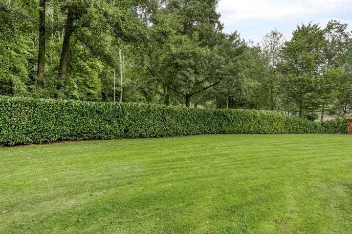 Foto 48 van Broek 17