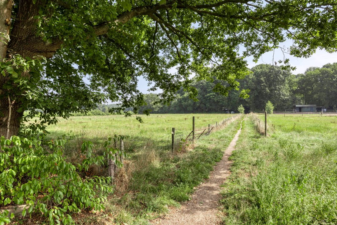 Foto 37 van Advocatenhof 19