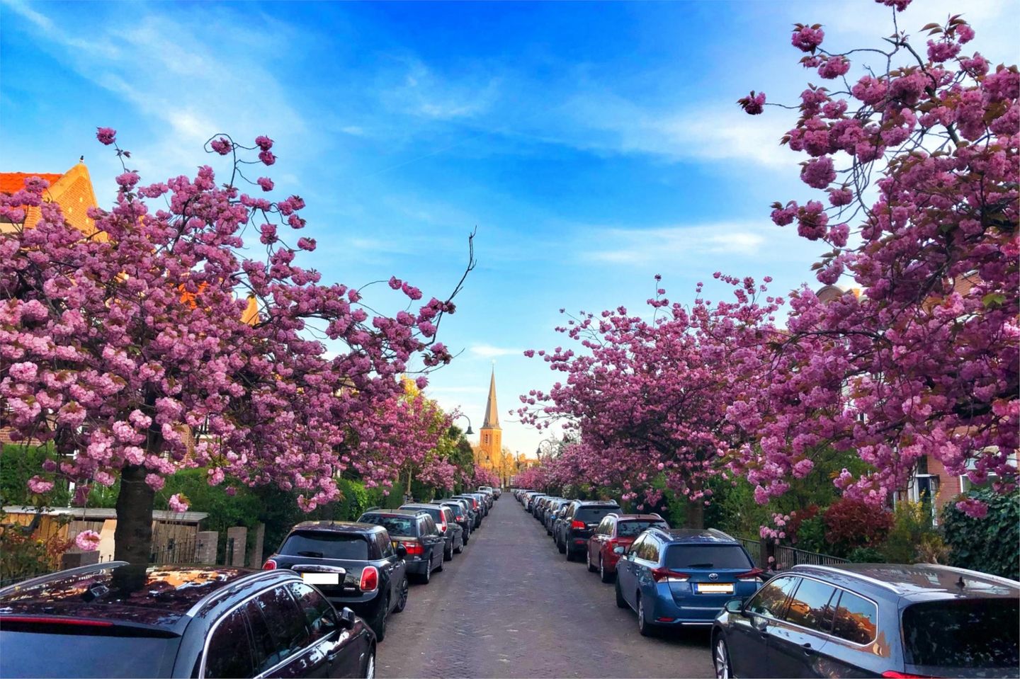 Foto 35 van Laan van Heldenburg 13