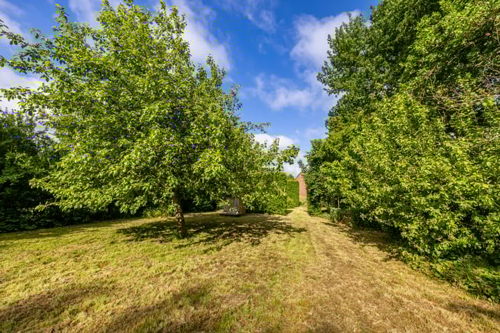 Foto 10 van Witherenweg 32